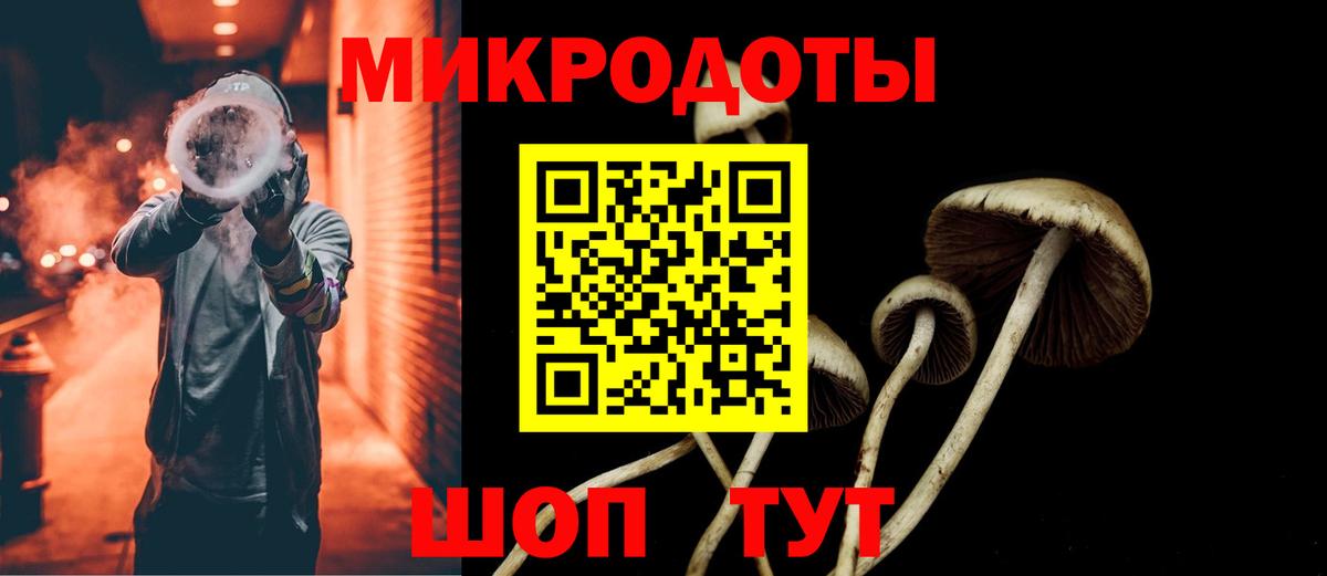 Севастополь  Галлюциногенные грибы Psilocybe  Вход с VPN 